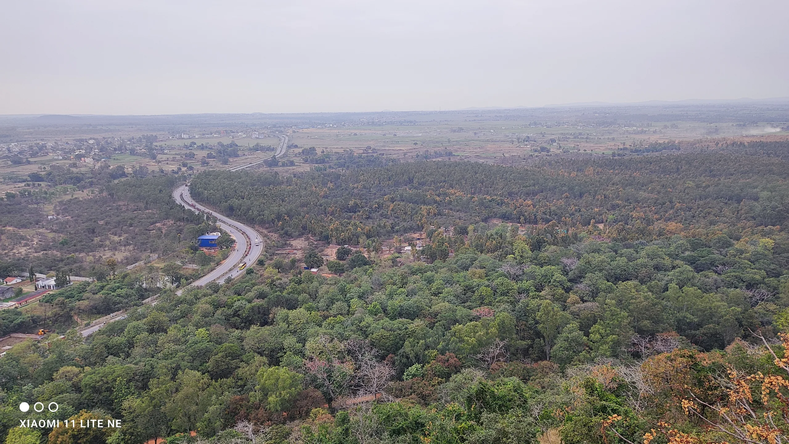 Rocky Outlook