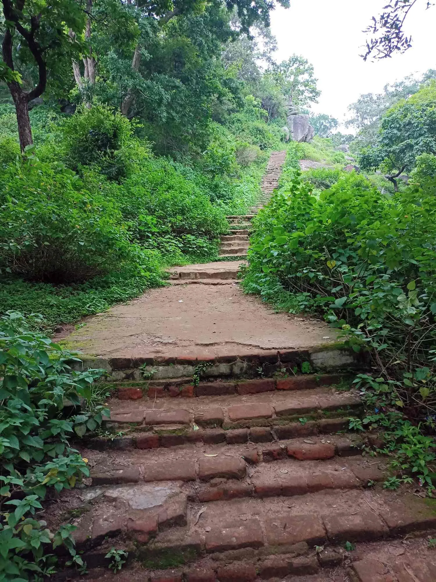 Stone Ascent