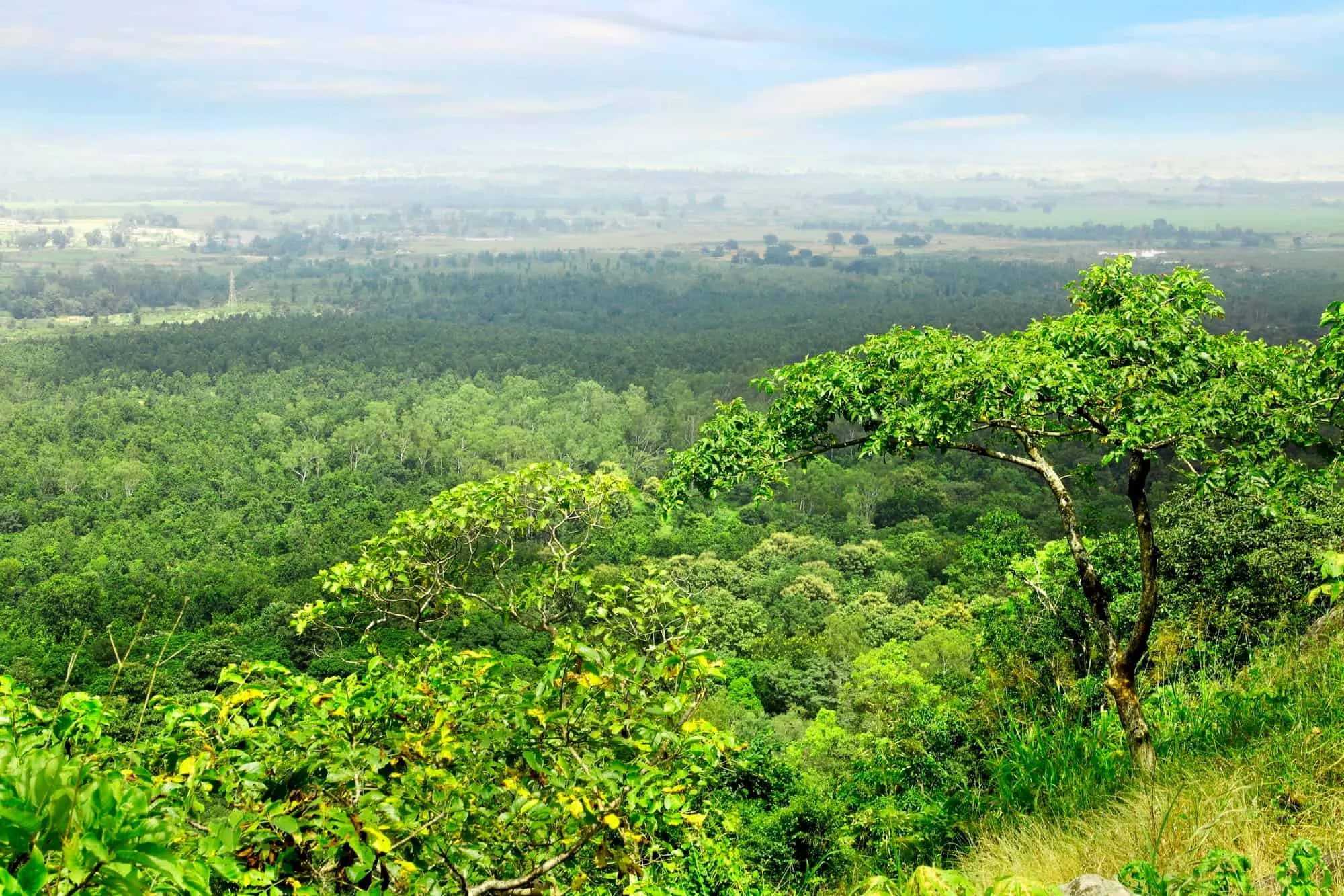 Green Horizon